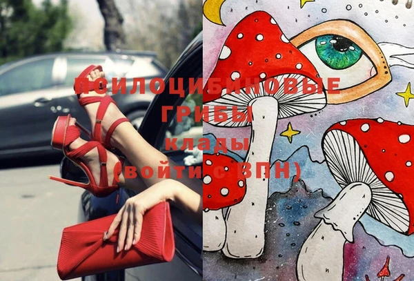 амф Алексин